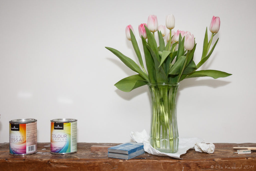Tulip Pink - Ellie Kennard 2014