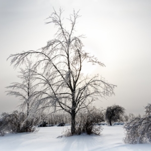 ekennard-140102_0787.jpgimgmax1024