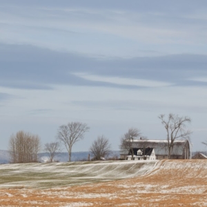 ekennard-140120_1042.jpgimgmax1024