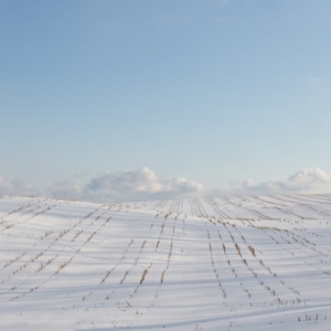 ekennard-140210_1495.jpgimgmax1024