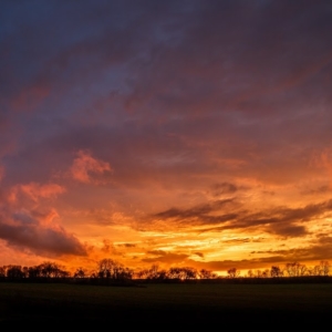 ekennard-141028_3209.jpgimgmax1024