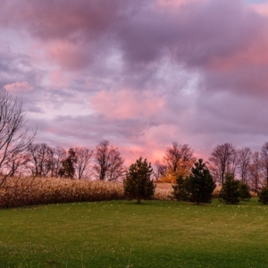 ekennard-141028_3215.jpgimgmax1024