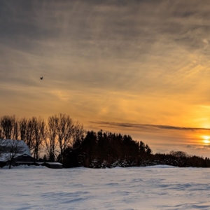 ekennard-150221_4807.jpgimgmax1024