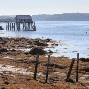 Fishing Wharf, Maine - Ellie Kennard 2015 Fishing Wharf, Maine - Ellie Kennard 2015