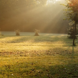 Field Stacks bathed in light - Ellie Kennard 2015 Field Stacks bathed in light - Ellie Kennard 2015