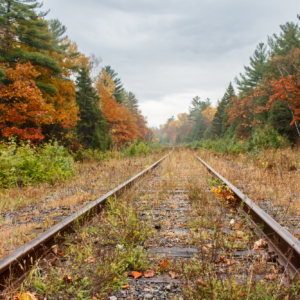 Train tracks in the fall, Photo by  Ellie Kennard 2013 Train tracks in the fall, Photo by  Ellie Kennard 2013
