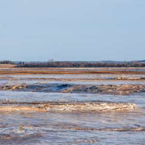 Ice on Mud Flats – Minas Basin dykelands, Nova Scotia.