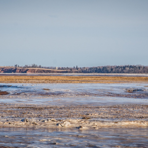 Frozen Dykes, Low Tide, Minas Basin, Nova Scotia.