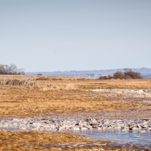 Dykes and orchards – Annapolis Valley, Nova Scotia