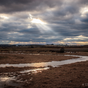 The Dykes at Dusk