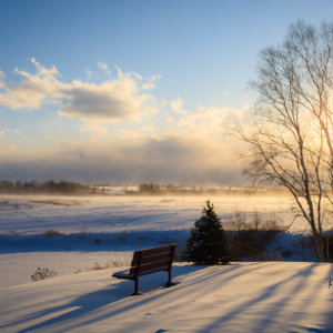 Park Bench with blowing snow - Ellie Kennard 2012 Park Bench with blowing snow - Ellie Kennard 2012