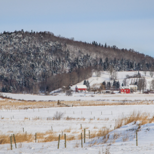 Nova Scotia Farm and Snowy Mountains