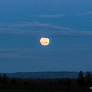The Big Moon Nova Scotia Evening