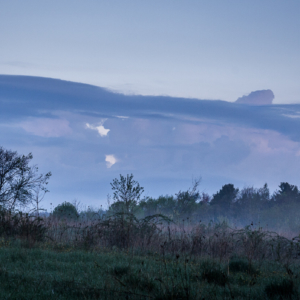 Mist Under Dawn Skies - Ellie Kennard 2012 Mist Under Dawn Skies - Ellie Kennard 2012