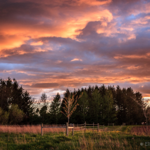 Spring Sunset Over Ploughed Fields