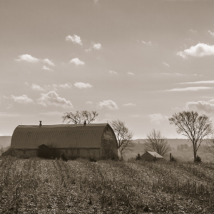 After the Harvest