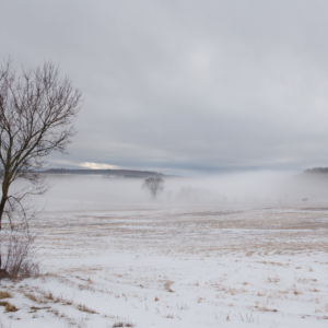 FIeld, HIllaton, Fog From Sudden Temperature Extreme