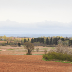 Spring Colours – Ellie Kennard 2013