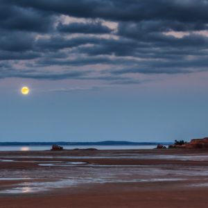 Super Moon 3 - Ellie Kennard 2013 Super Moon 3 - Ellie Kennard 2013
