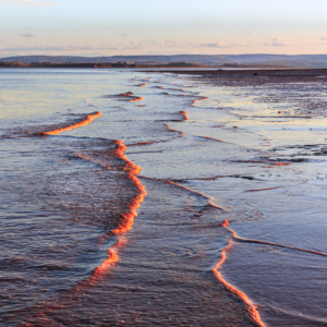 Golden Beach Foam at Sunset - Ellie Kennard 2015 Golden Beach Foam at Sunset - Ellie Kennard 2015