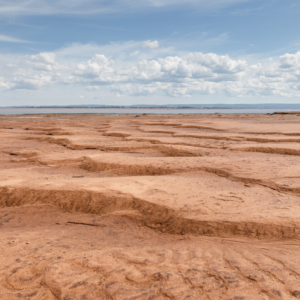 Sand dunes on the sea bottom, low tide, Minas Basin, Nova Scotia - Ellie Kennard 2016 Sand dunes on the sea bottom, low tide, Minas Basin, Nova Scotia - Ellie Kennard 2016 Ellie Kennard 2016