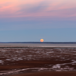 Hunters Moon Supermoon - Ellie Kennard 2016 Hunters Moon Supermoon - Ellie Kennard 2016