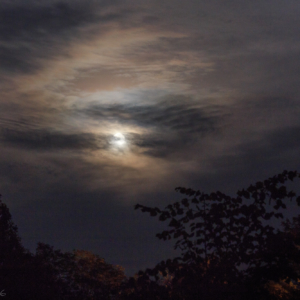 Hunter's Moon Super Moon from home - Ellie Kennard 2016 Hunter's Moon Super Moon from home - Ellie Kennard 2016