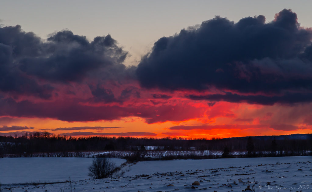 Medford, Nova Scotia sunset - Ellie Kennard 2019