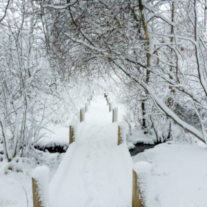 Snow path January 2021 Snow path January 2021
