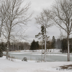 Frozen pond near the Bay of Fundy