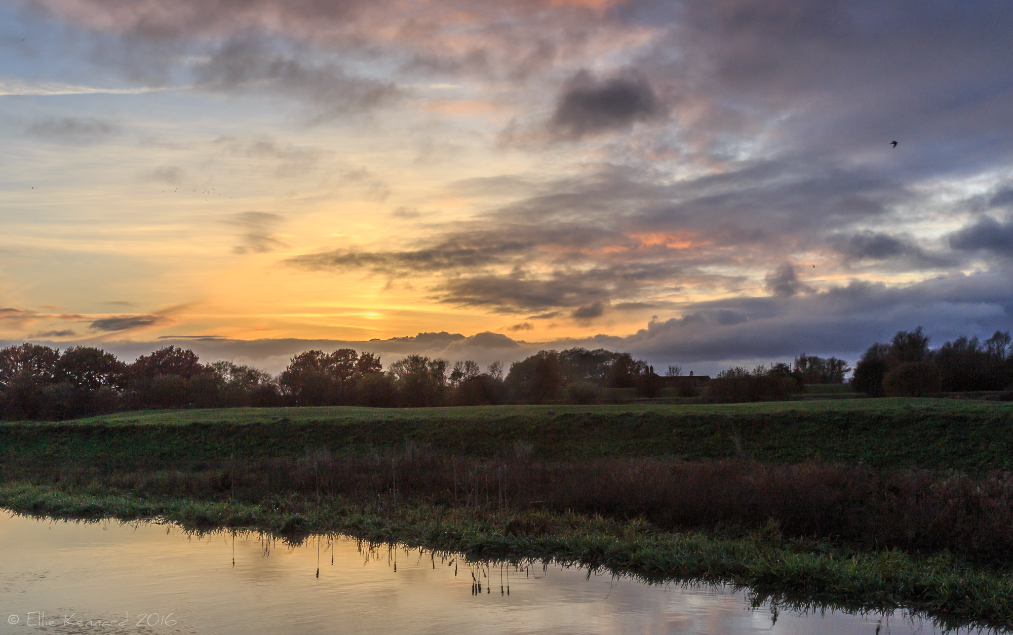 Walk along the river Witham in Dogdyke - Ellie Kennard 2016