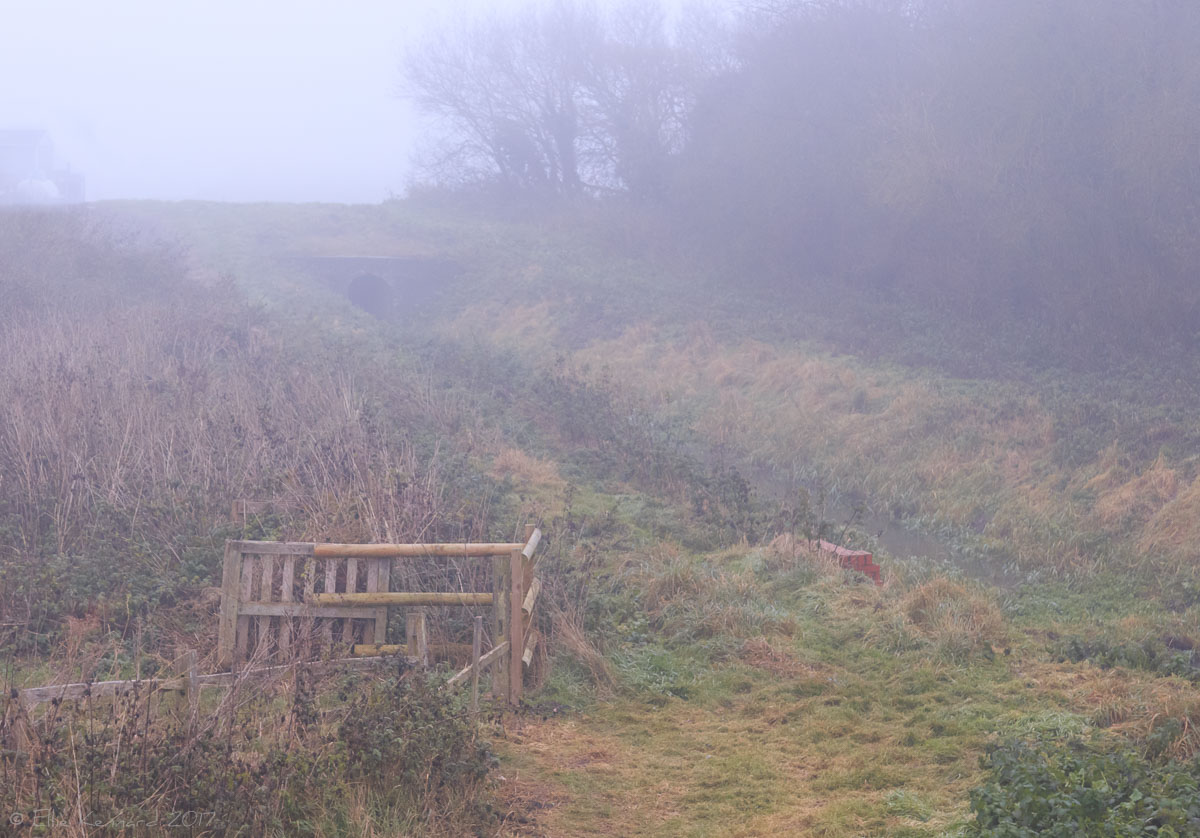 A foggy country end of season scene, with dried grasses and a ditch on the left side leading up to a stone culvert. There is, bottom left, an old wooden gate with wooden fencing. A path leads up beside the ditch.