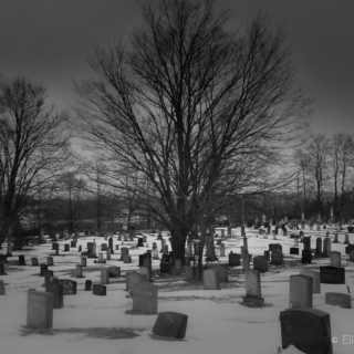 Hillaton Graveyard, Nova Scotia - Ellie Kennard 2012
