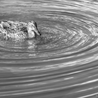 Flowing - Ellie Kennard 2013