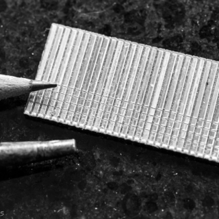 2/26 Macro - tiny strip of nails - Ellie Kennard 2015