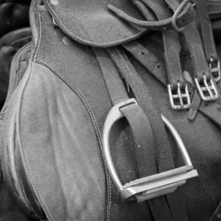 Dusty Saddles - Ellie Kennard 2015