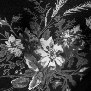 Floral - Ellie Kennard 2015