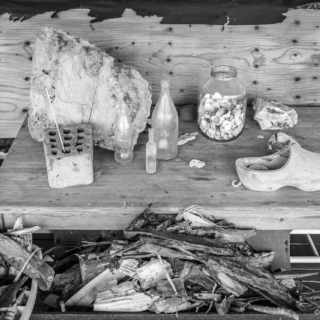 Collection Week 24/26: Around the House- Ellie Kennard 2015