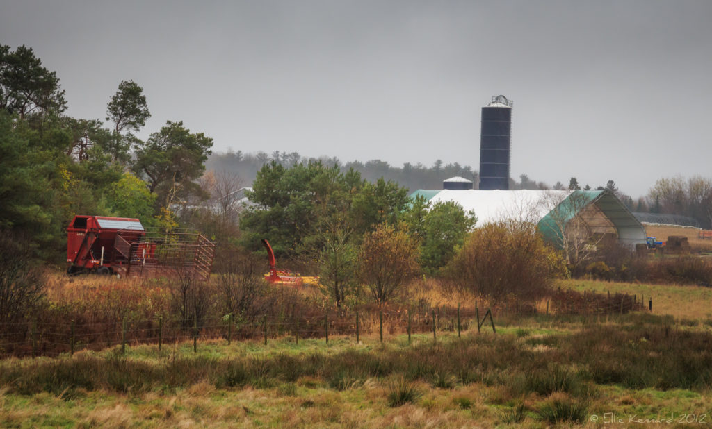 Nova Scotia Farm on a November Day - Ellie Kennard 2012
