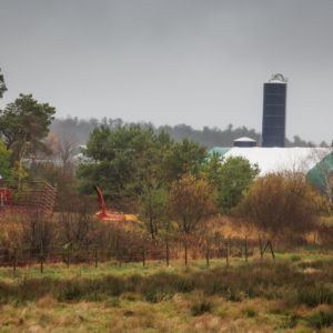 Nova Scotia Farm on a November Day - Ellie Kennard 2012 Nova Scotia Farm on a November Day - Ellie Kennard 2012