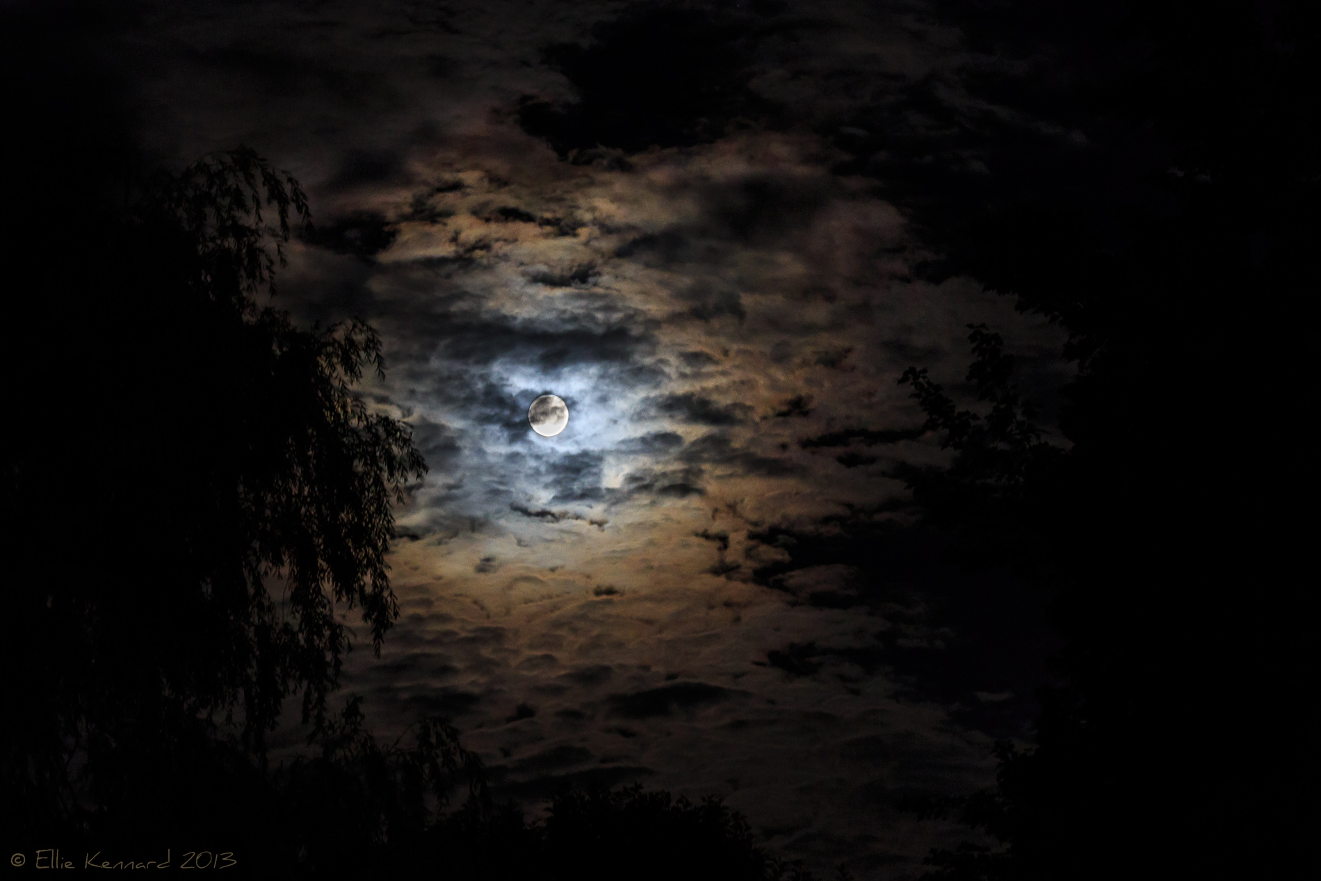 A full moon is surrounded by clouds, some heavy, some lighter, so that the moon illuminates the lighter ones around it. In the foreground on the left are some tree branches hanging down, silhouetted.
